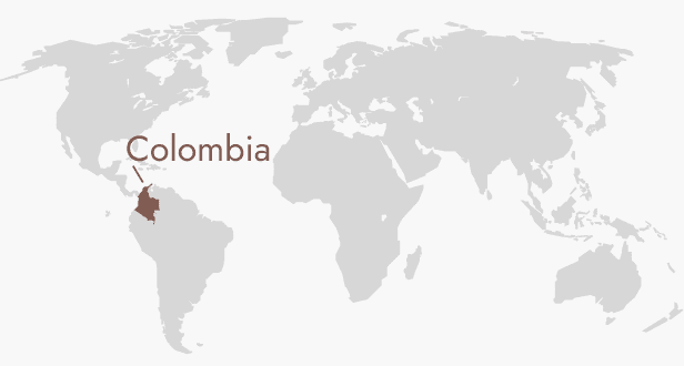 COLOMBIA DECAF SPECIALTY COFFEE BEANS 333g