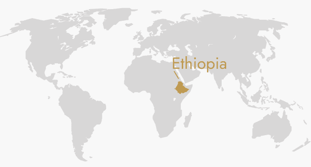 ETHIOPIAN DECAF SPECIALTY COFFEE BEANS