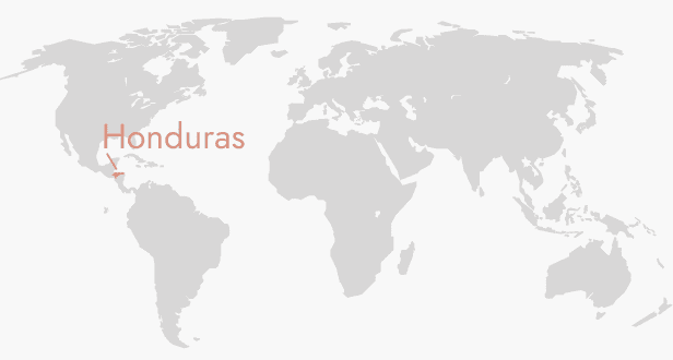 HONDURAS CAPUCAS DECAF SPECIALTY COFFEE BEANS 333g