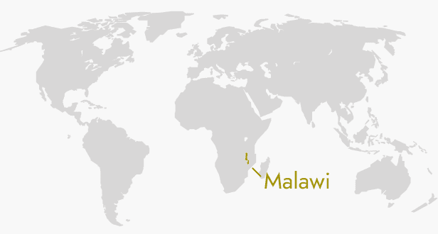 MALAWI COFFEE BEANS 333g
