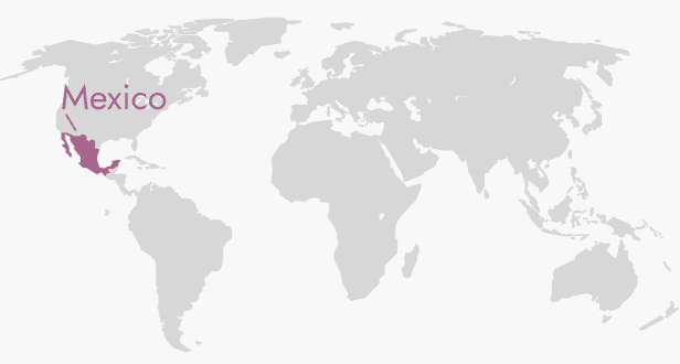 MEXICAN COFFEE BEANS