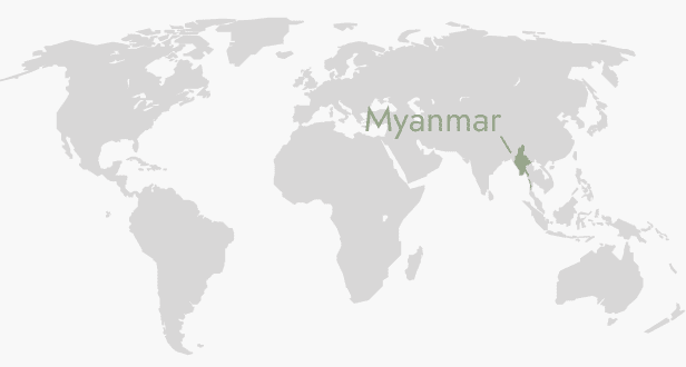 MYANMAR COFFEE BEANS 333g