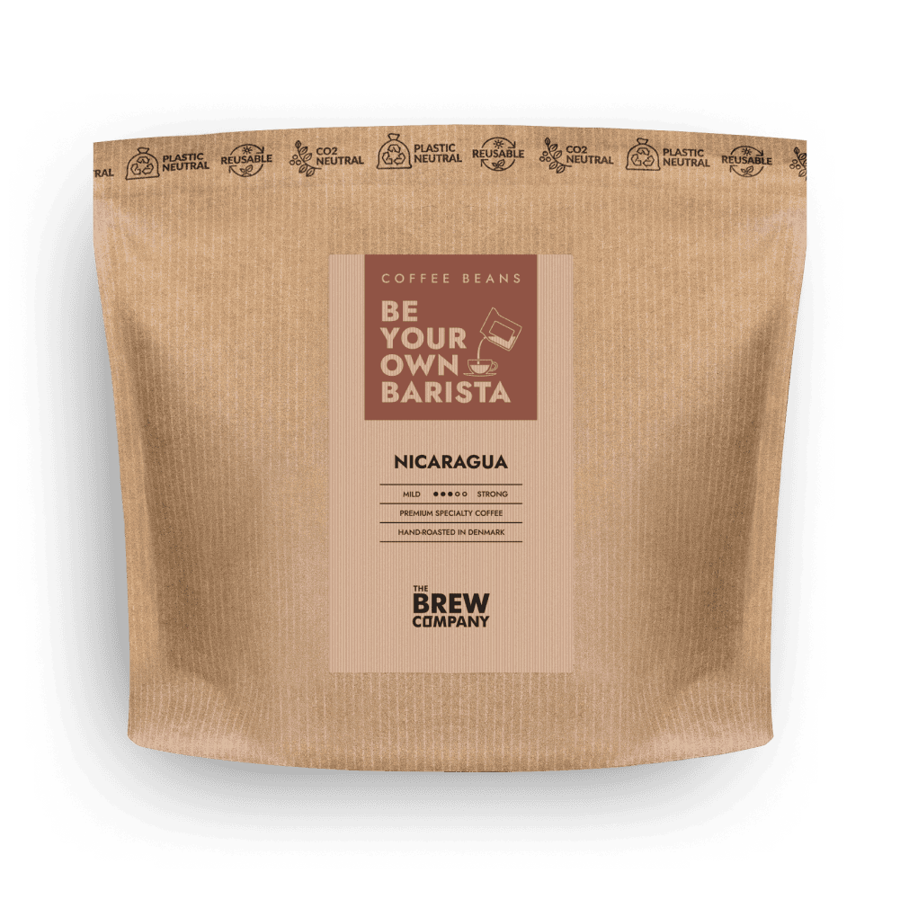 NICARAGUA COFFEE BEANS 333g