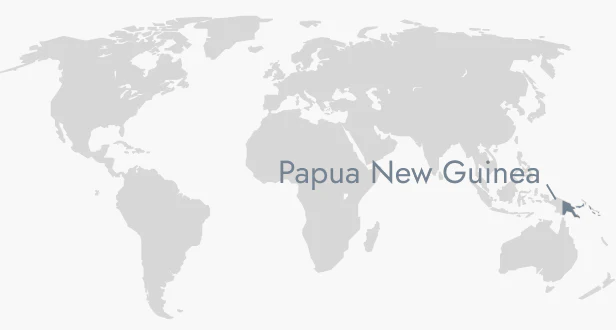 PAPUA NEW GUINEA COFFEE BEANS 333g