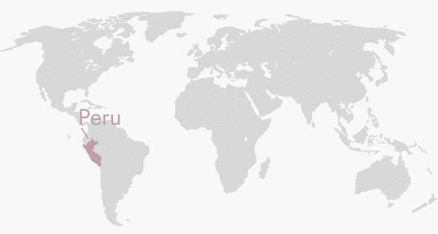 PERU COFFEE BEANS 333g