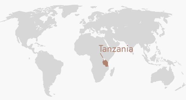TANZANIA COFFEE BEANS 333g