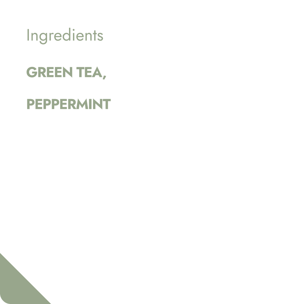 GREEN REFRESHMENT TEABREWER The Brew Company