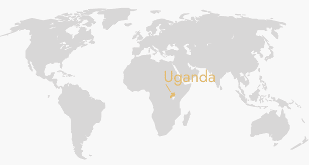 UGANDA COFFEE BEANS 333g
