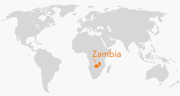 ZAMBIAN COFFEE BEANS
